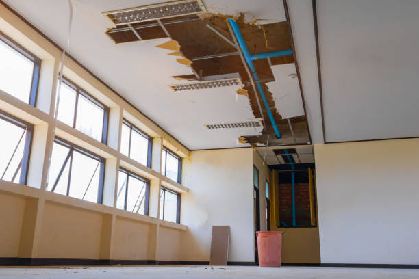 Best 24-hour water damage restoration  in Cleary, MS