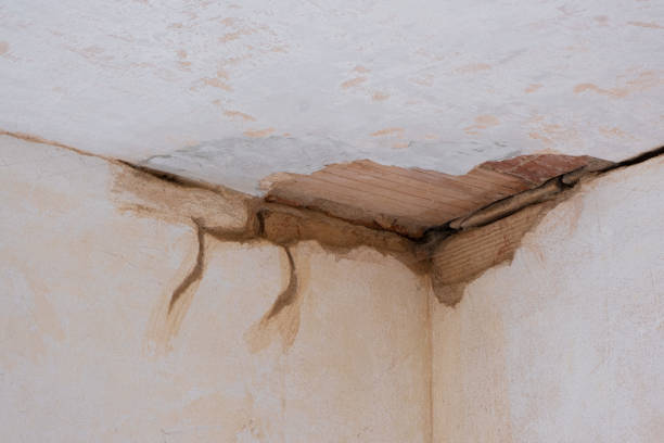 Best Water damage restoration services  in Cleary, MS