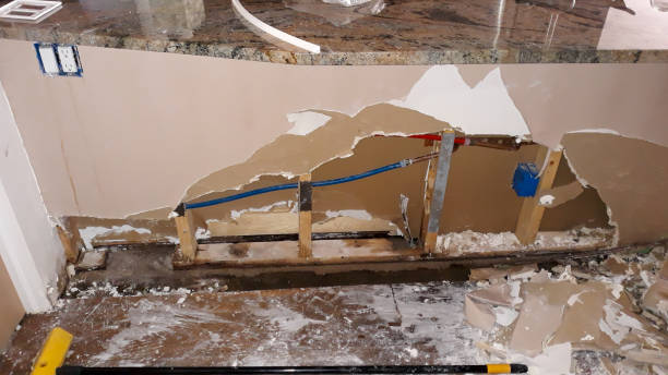 Best Water damage contractors near me  in Cleary, MS