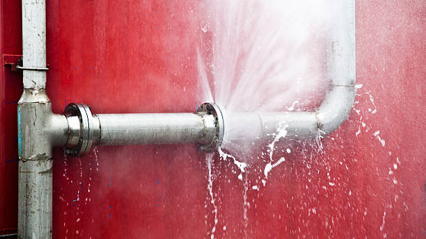 Best Water damage restoration process  in Cleary, MS